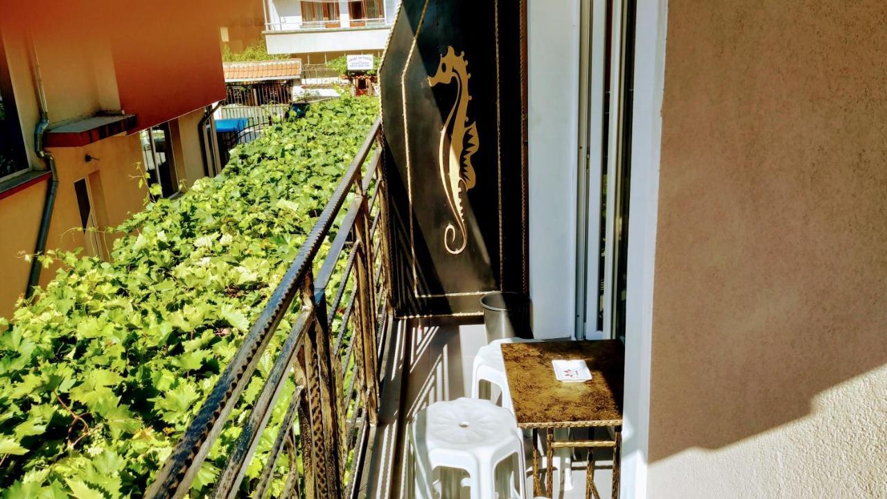 Dracena Guesthouse Ravda Ngoại thất bức ảnh